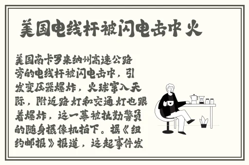 Zoom动物人